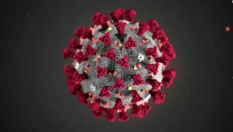 Coronavirus